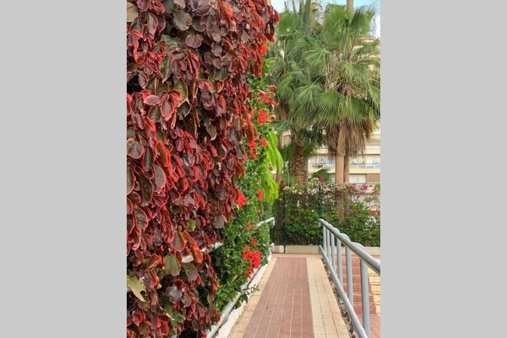 Appartamento Jardines Del Sur, Ocean View Buzanada Esterno foto